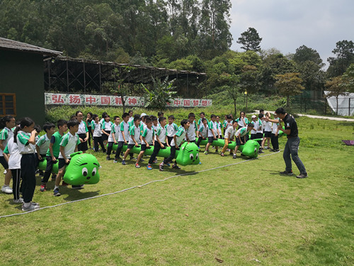 夏季组织团建佛山去哪里玩比较好